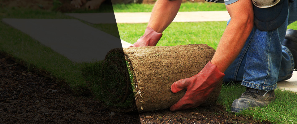 Danville Landscapers